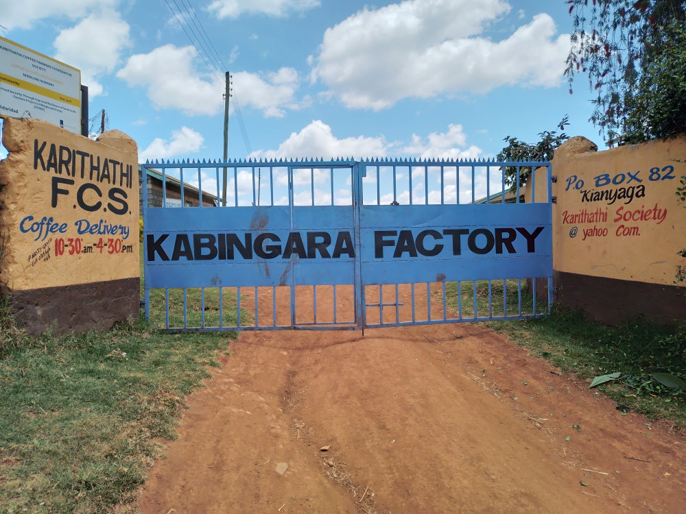 Kenya - Kabingara Kirinyaga Peaberry