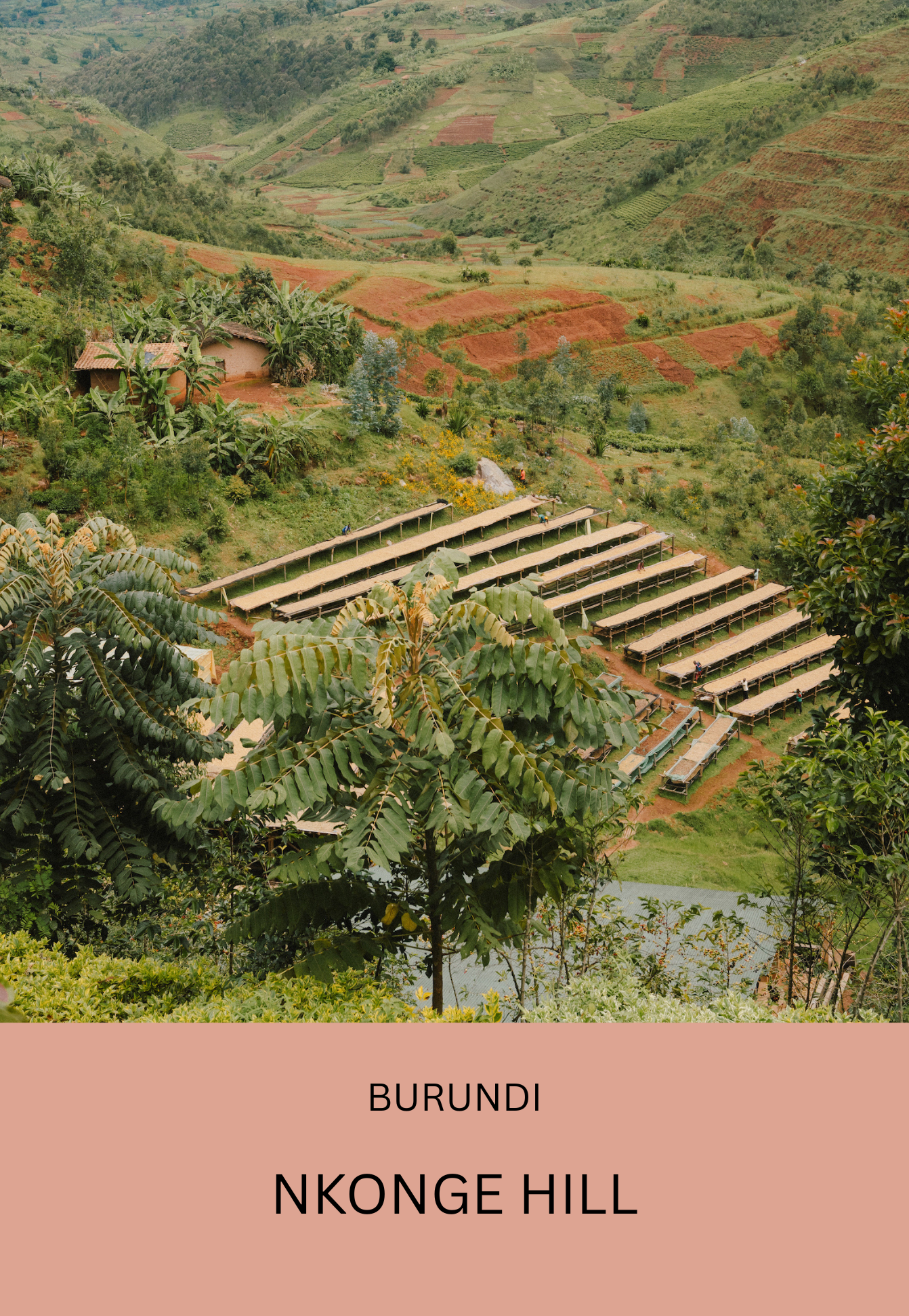 Burundi Nkonge hill