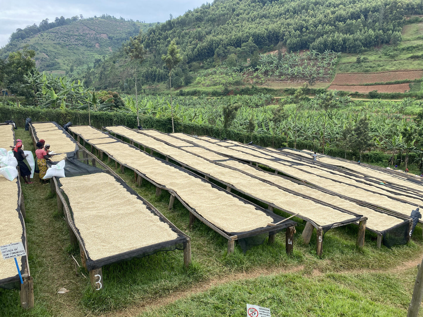 Rwanda Agnes Mukamushinja