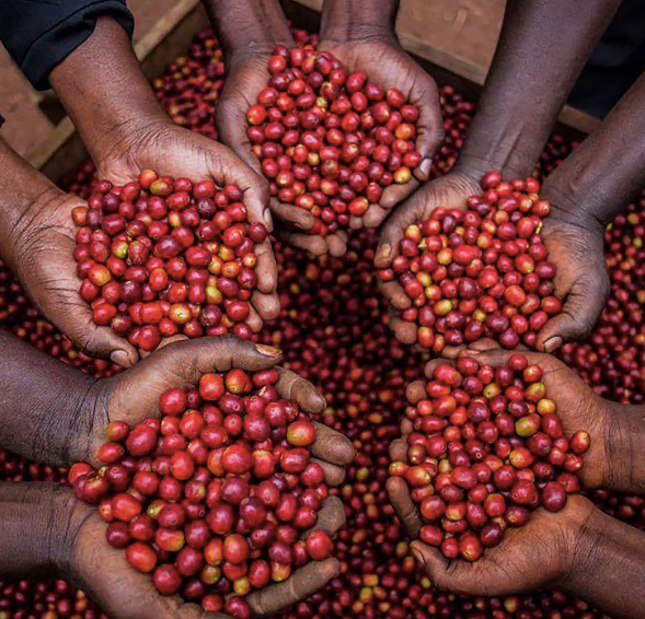 Rwanda Agnes Mukamushinja