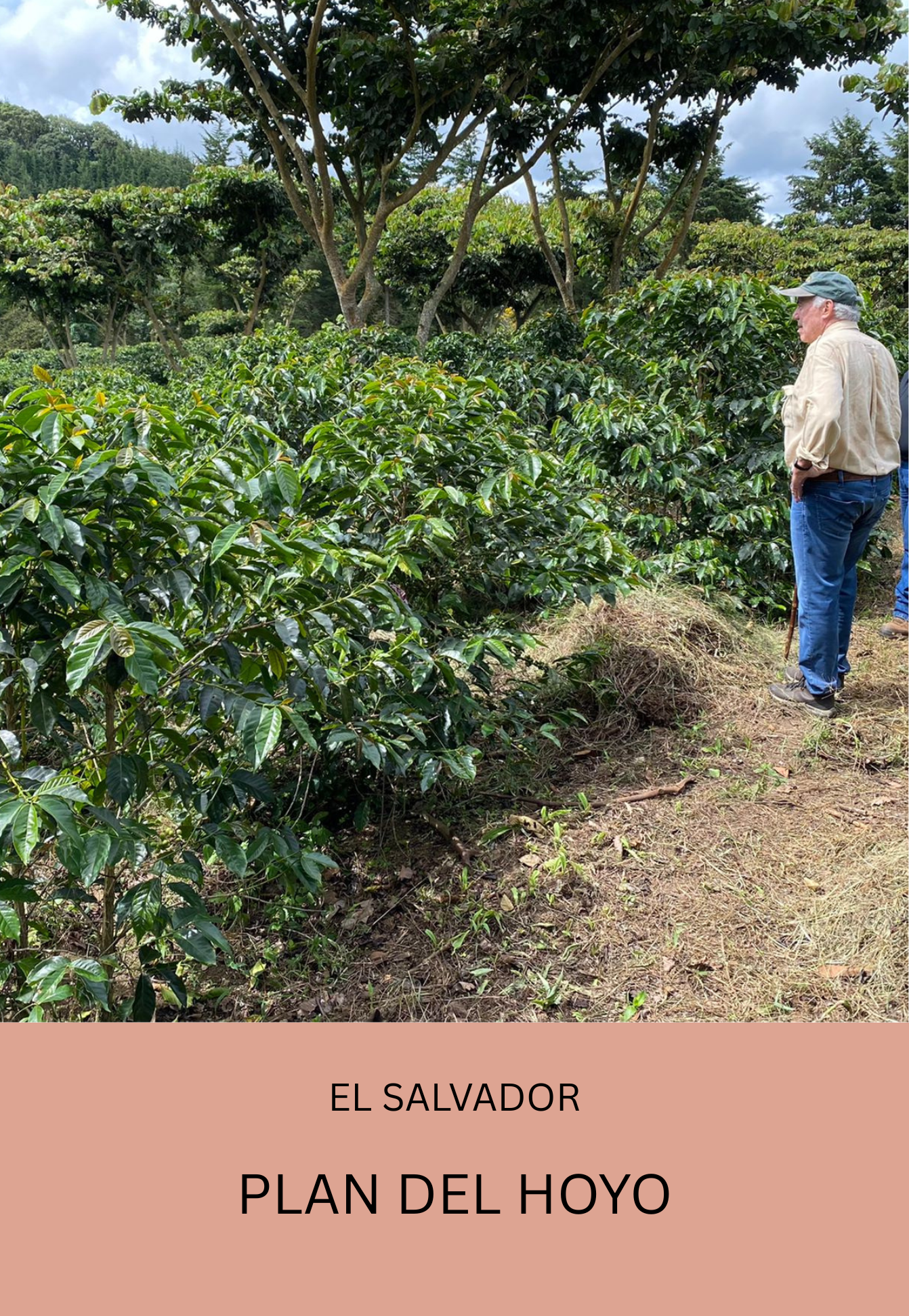 El Salvador Plan Del Hoyo