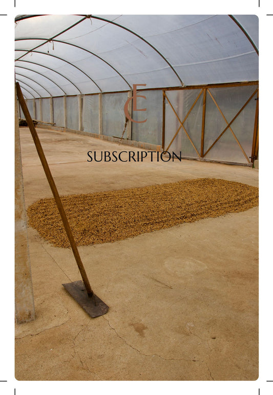Coffee Subscriptions
