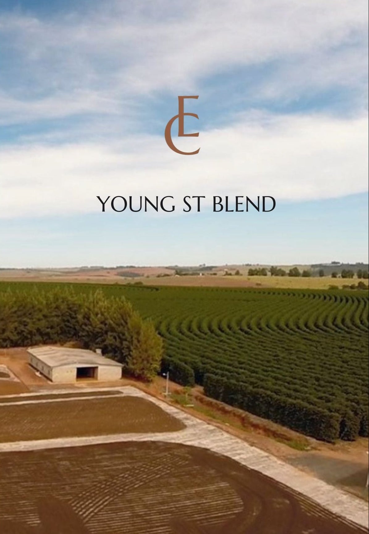 Young Street Blend