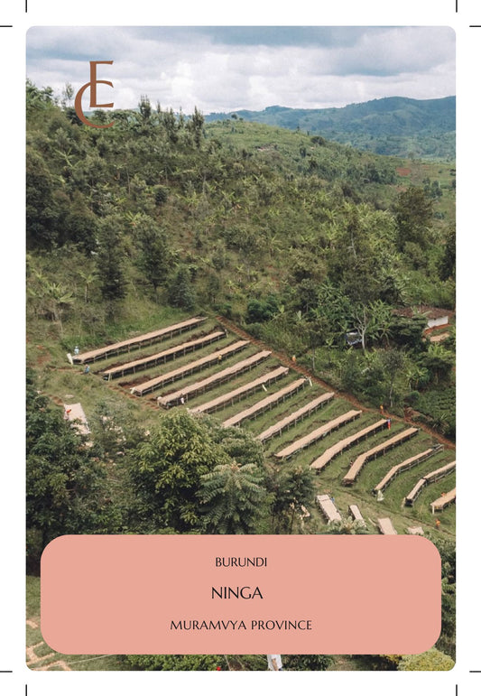 Burundi Ninga hill