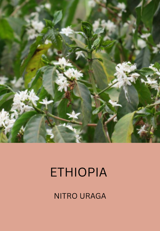 Ethiopia Nitro Uraga