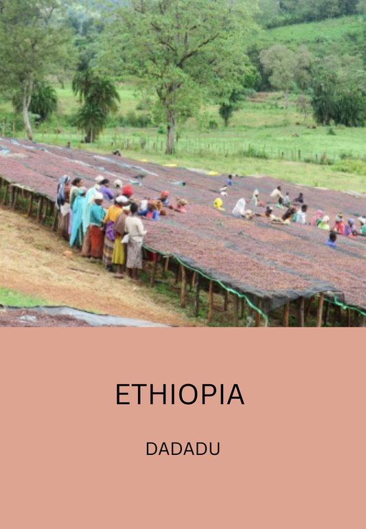 Ethiopia Dadadu