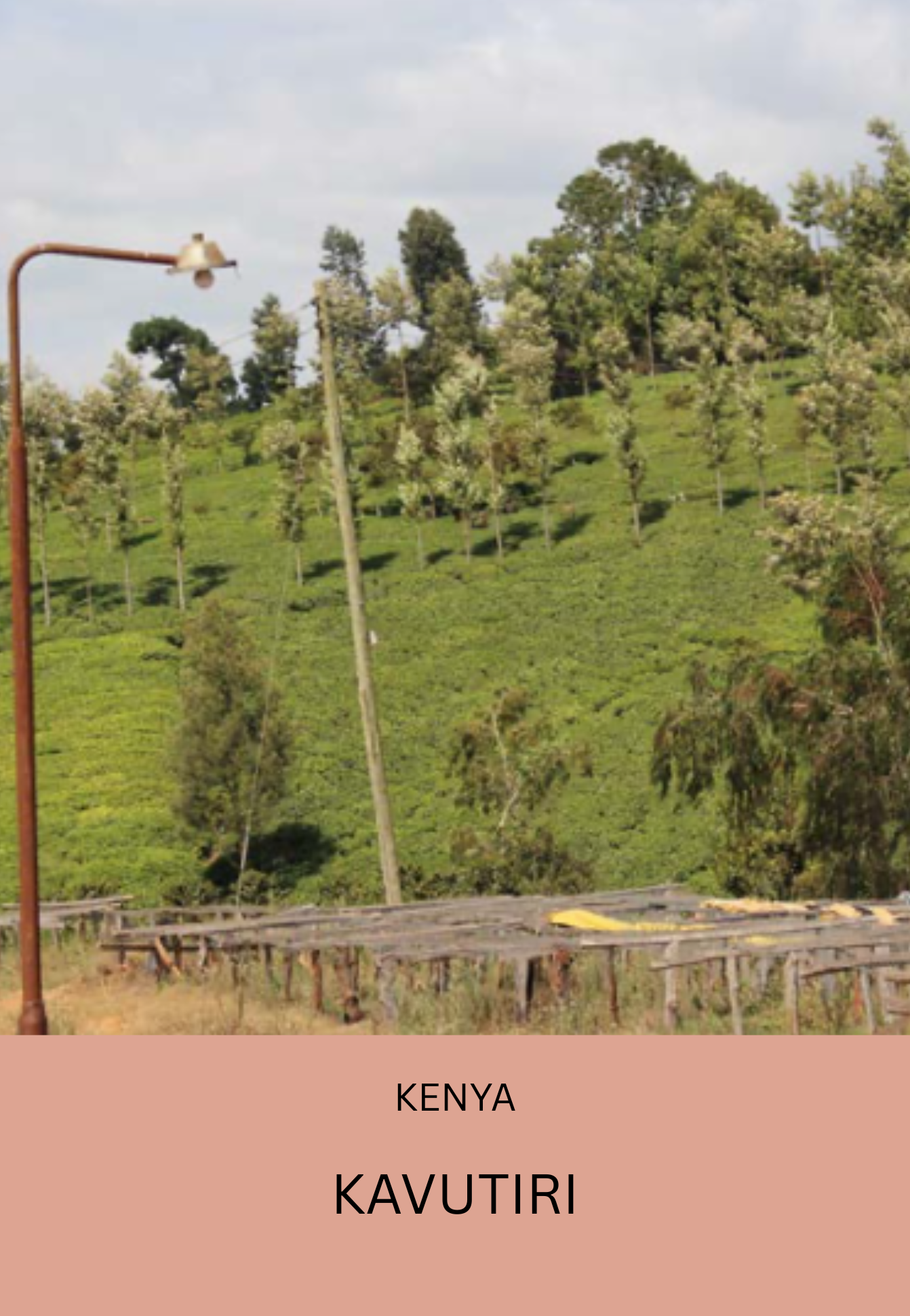 Kenya Kavutiri