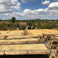Kenya - Kabingara Kirinyaga Peaberry